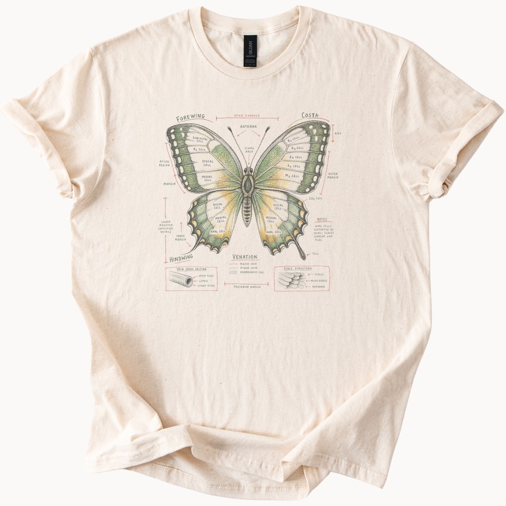 Wing Cells Supported by Veins Swallowtail Anatomy Diagram Tee